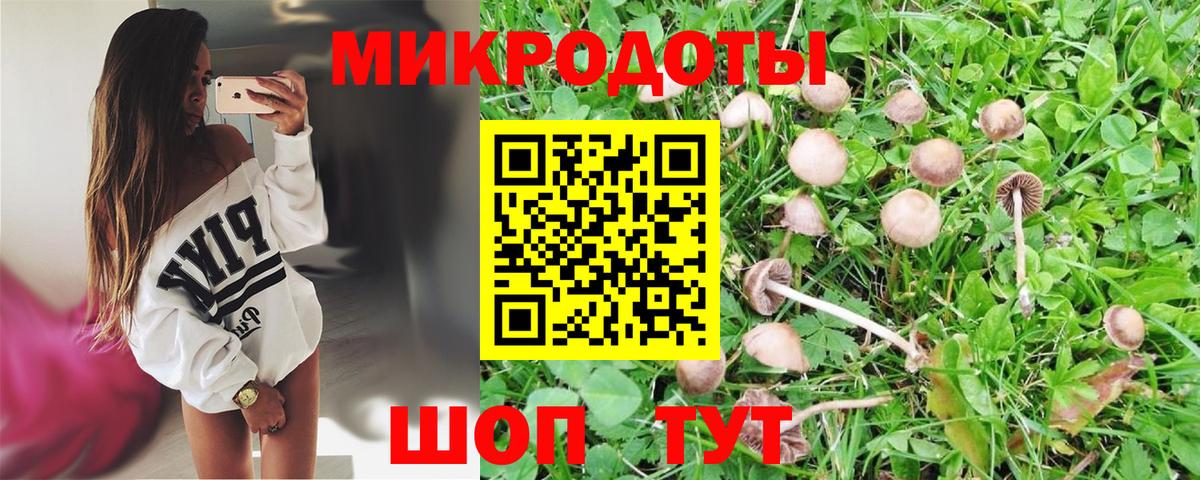 Псилоцибиновые грибы Psilocybine cubensis  Вход с VPN  Ноябрьск  Галлюциногенные грибы Psilocybine cubensis 